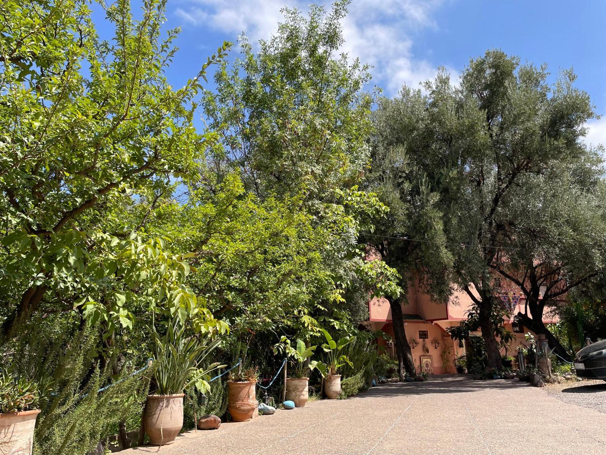 Villa De L'Atlas Tagadirt Exterior photo